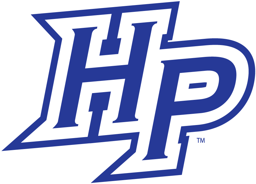 High Point Panthers 2004-2011 Alternate Logo v2 diy iron on heat transfer